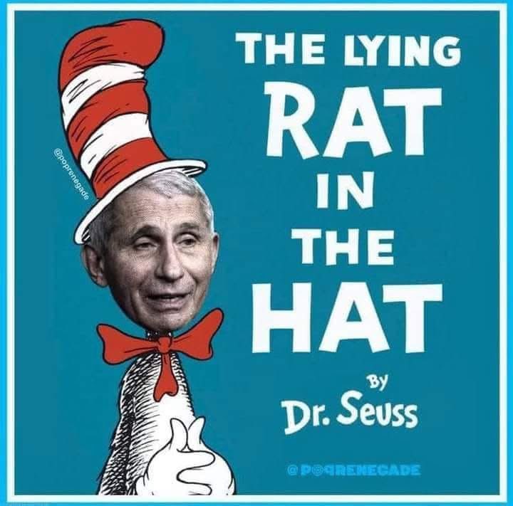 Cat_Vocals tweet media