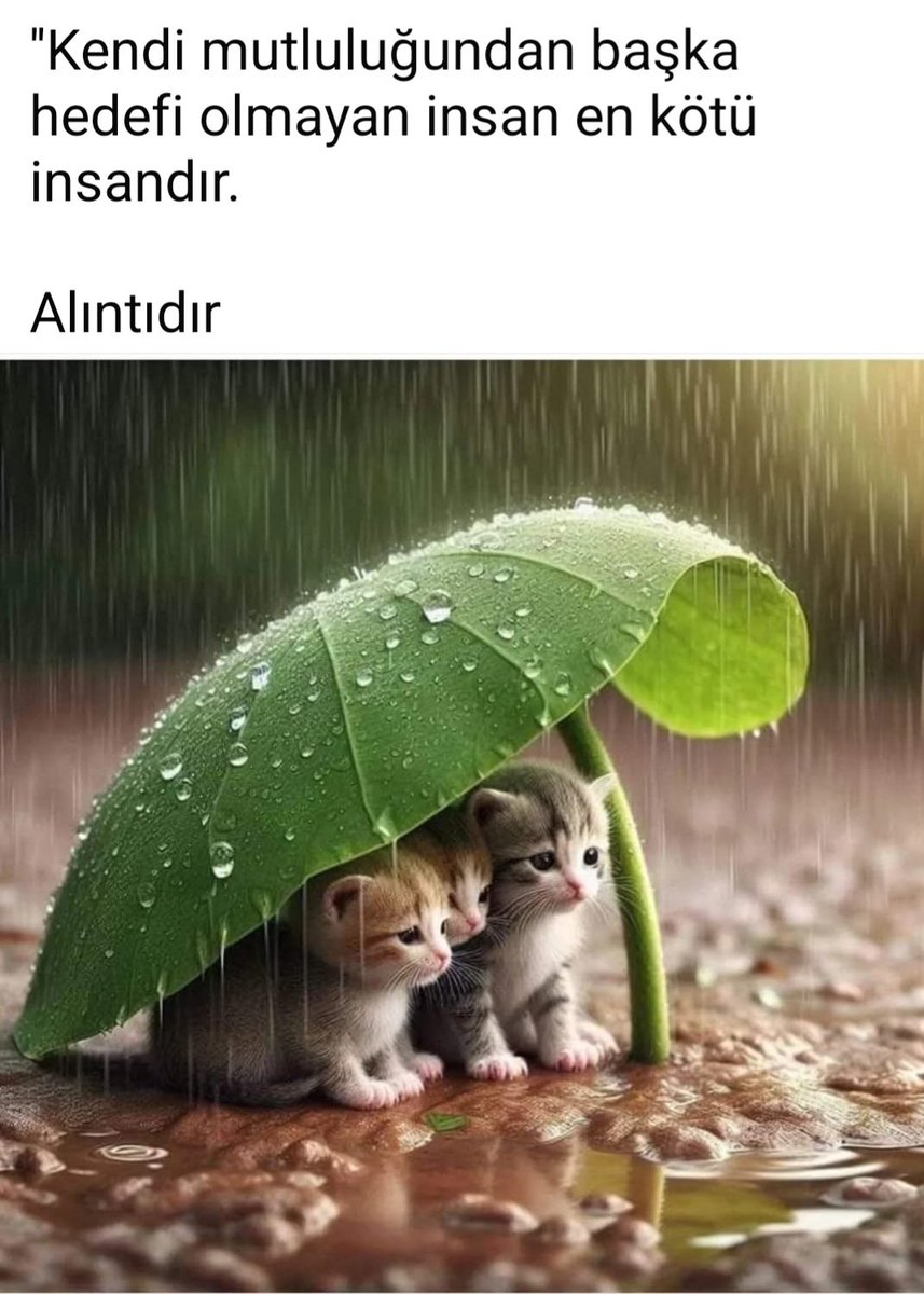 Nurcan ÖZTÜRK (@nurcansu25) on Twitter photo 