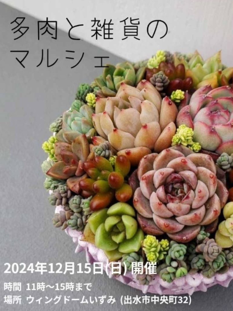 jeserleather's tweet photo. グリパでお世話になってる
"井上さぼてん"さんの
お手伝いで！
出水市で開催される
鹿児島最大級の多肉イベントへ🌵

📢🙌詳細は公式インスタをご覧ください
https://t.co/0GvrS5TUe9

イノサボさんの鹿児島出店はレアなのでこの機会にぜひ！
お待ちしてます🌵🌺🏜️

#出水 #多肉 #サボテン #塊根 https://t.co/c53XosDGU7
