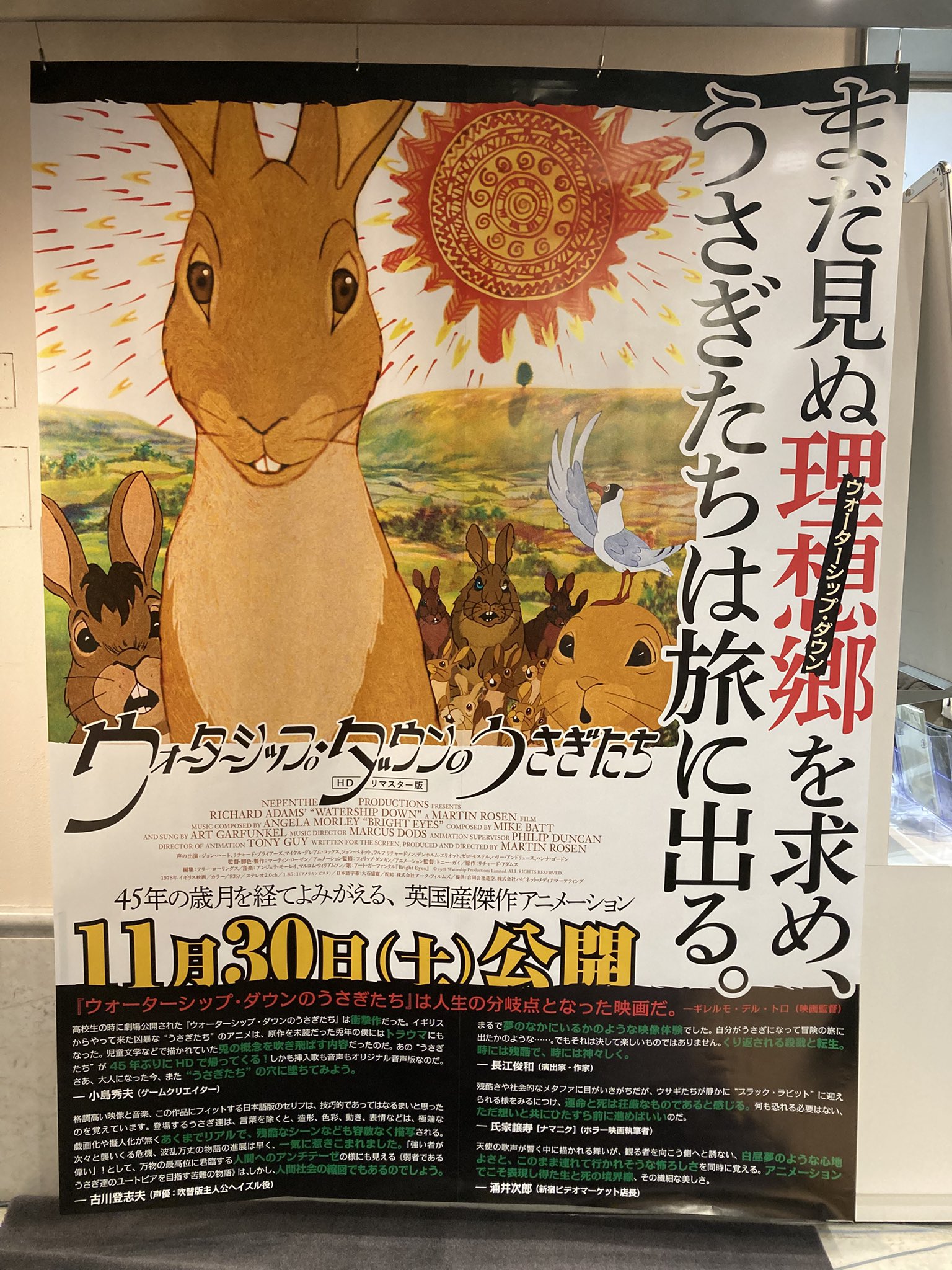 ウォーターシップ・ダウンのうさぎたち HDリマスター版』公式 (@Usagi_Movie2024) / X ウォーターシップ・ダウンのうさぎたち HDリマスター版』公式 (@Usagi_Movie2024) / X