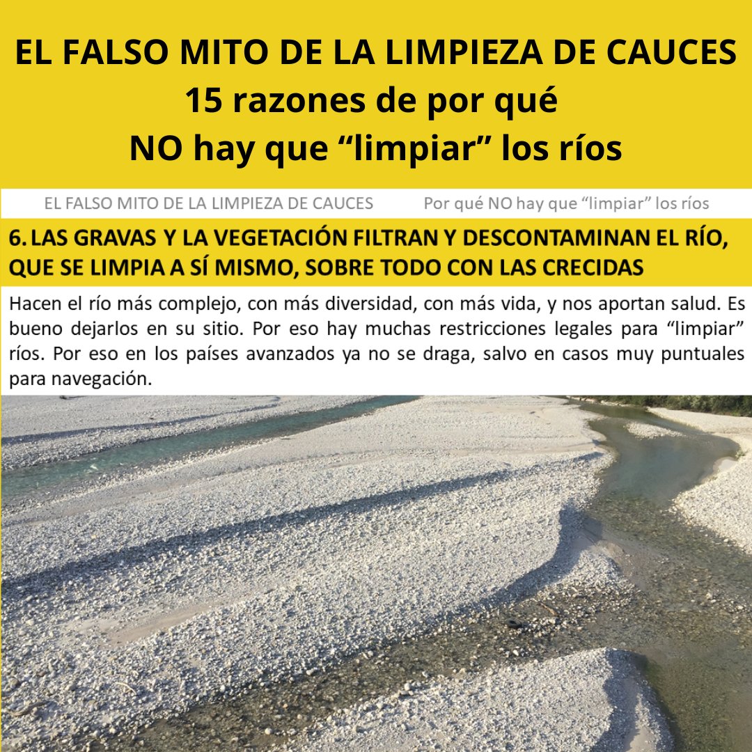6️⃣ LAS GRAVAS Y LA VEGETACIÓN FILTRAN Y DESCONTAMINAN EL RÍO, QUE SE LIMPIA A SÍ MISMO, SOBRE TODO CON LAS CRECIDAS

Hacen el río más complejo, con más diversidad, con más vida, y nos aportan salud. Es bueno dejarlos en su sitio.  ⤵️