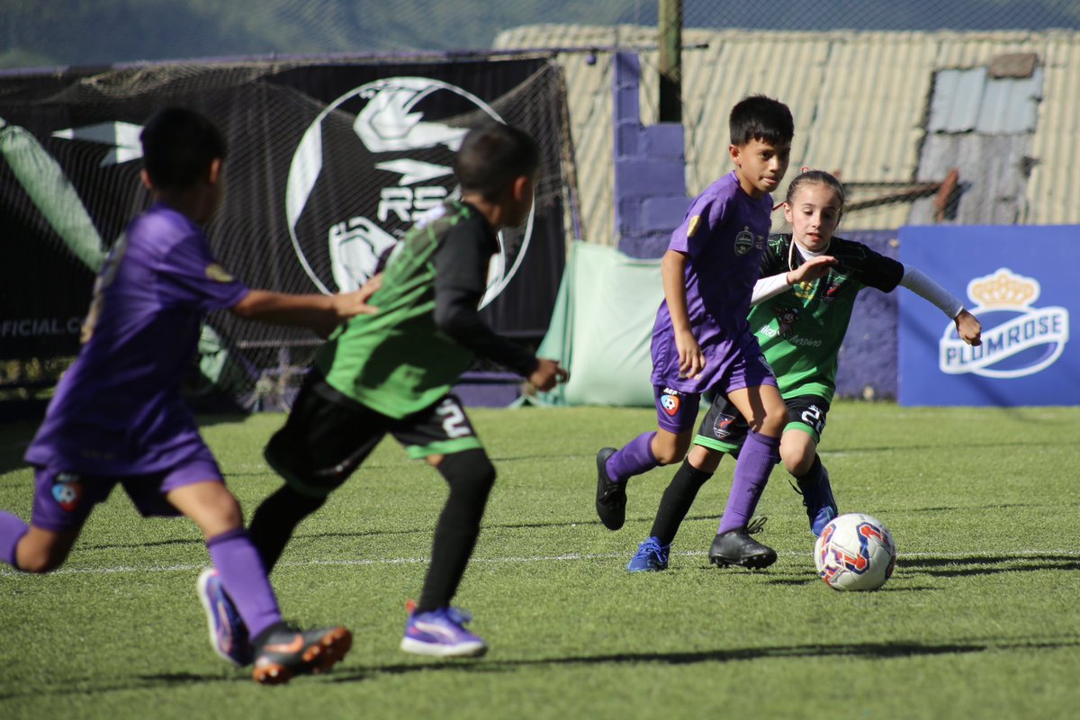 LigaPipoRossi's tweet photo. ¡AEF Golea!⚽️

@aedefutbol estuvo firme y contundente en la cancha frente a @fusionacademica 🤯

🏆Division Base oro | Sub-09

#LigaPipoRossi | ʟᴀ ᴍᴇᴊᴏʀ ʟɪɢᴀ ᴅᴇ ᴄᴀʀᴀᴄᴀꜱ https://t.co/YMMP0lwBul