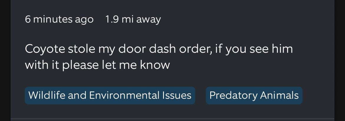 Taylor Lane tweet media