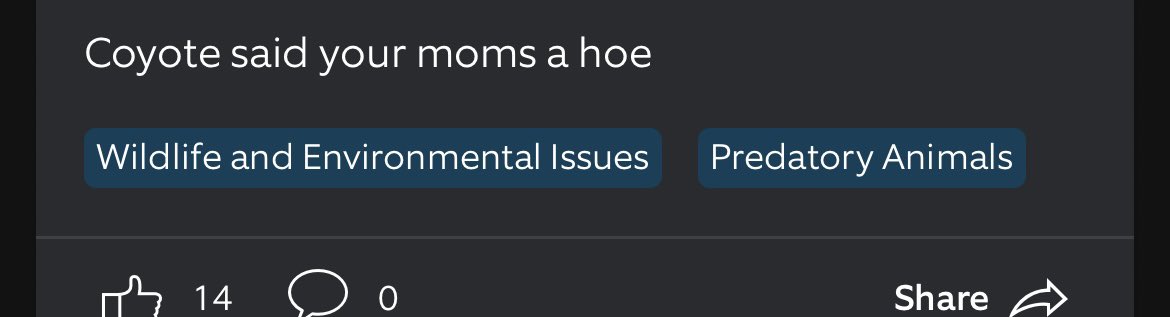 Taylor Lane tweet media