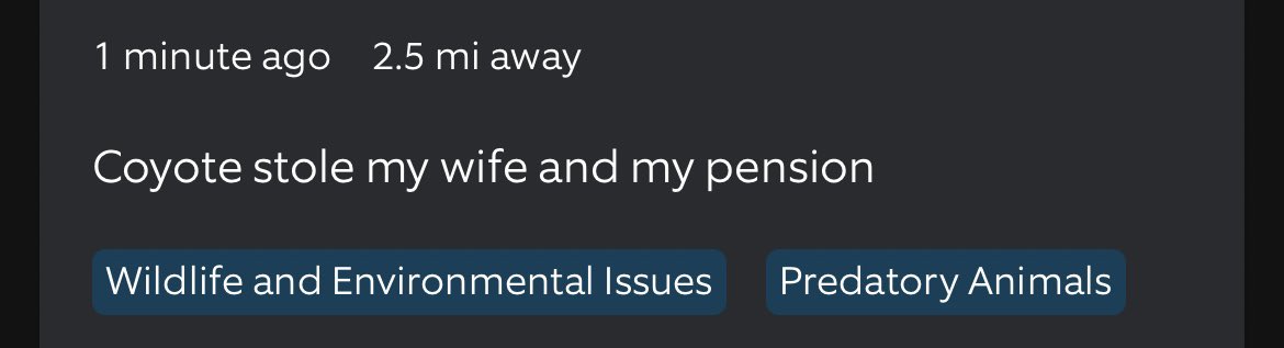 Taylor Lane tweet media