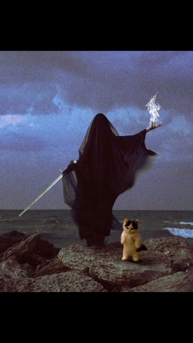 $michi not seeing many communities active on the timeline - not even $1b+ ones. Good job to the $michi fam for sharing the cat for the good vibes! We can make up any void on the timeline.