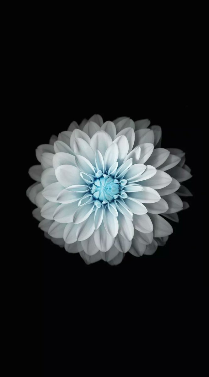 AHSANKHARBAI's tweet image. Few amoled wallpapers for your phone

Hope you like them 😄 

Please comment and repost 🙏🏻 

#amoled #Wallpapers