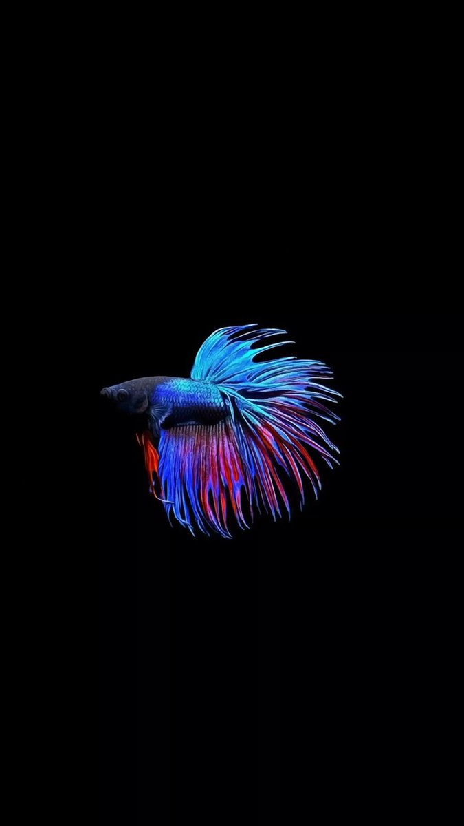 AHSANKHARBAI's tweet image. Few amoled wallpapers for your phone

Hope you like them 😄 

Please comment and repost 🙏🏻 

#amoled #Wallpapers