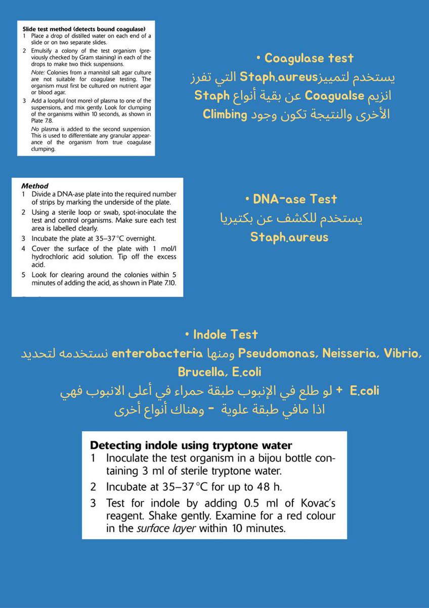 _Rose_Lab's tweet photo. صباح العون والتوفيق ✨
عندك اختبار هيئة سواء اخصائي مختبرات  طبية #SLLE
أو فني مختبر #Labte
معناه لازم تعرف جميع الإختبارات الكيميائية المستخدمة في لاب الميكروبيولوجي 🧪 https://t.co/F1X12W0ypF