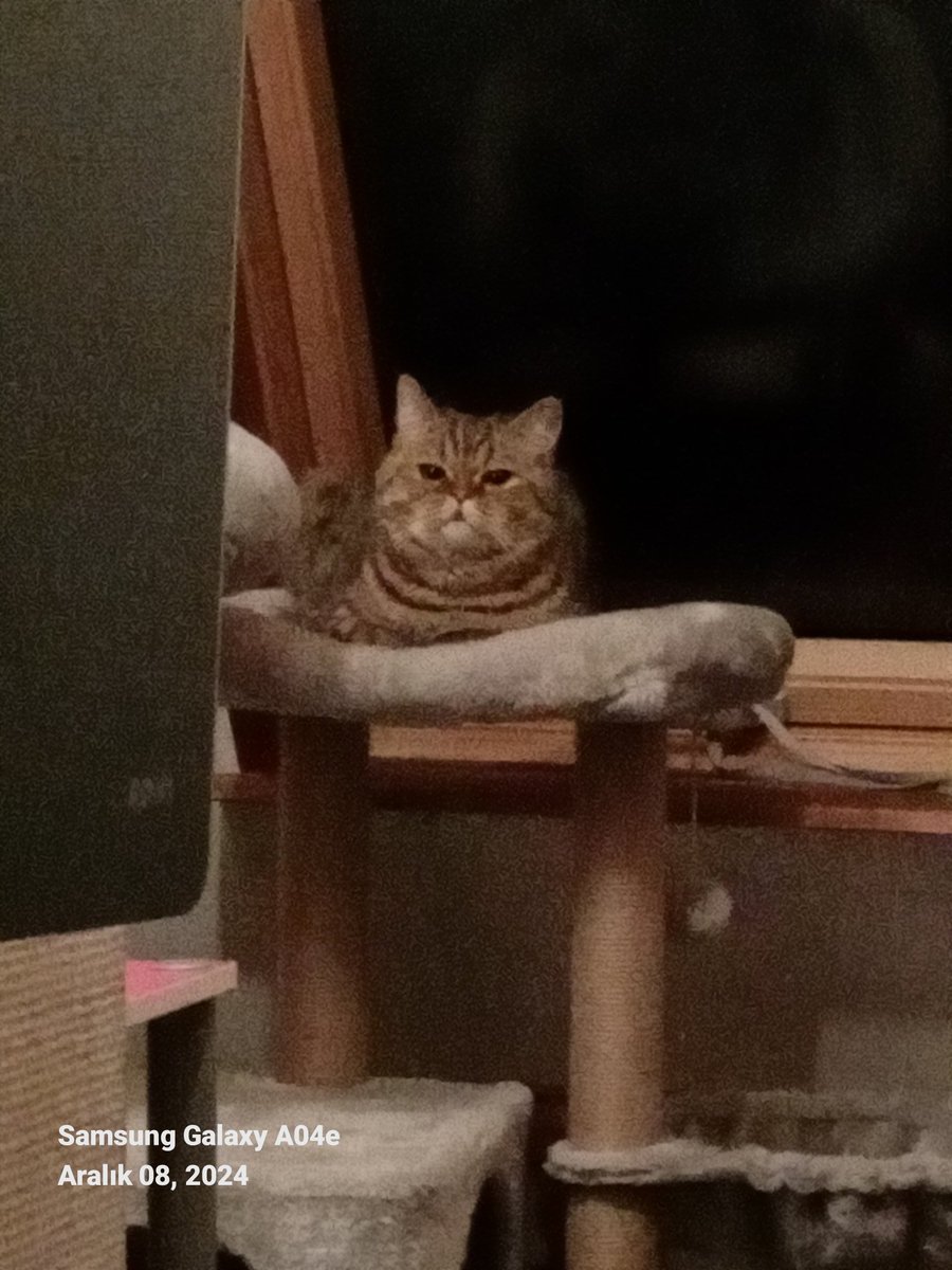 Günaydın gut Morgen. Sabah duâ,okumak çok güzel  yahudi zazalar la okumak ??? İyi değil Bingöllüler,