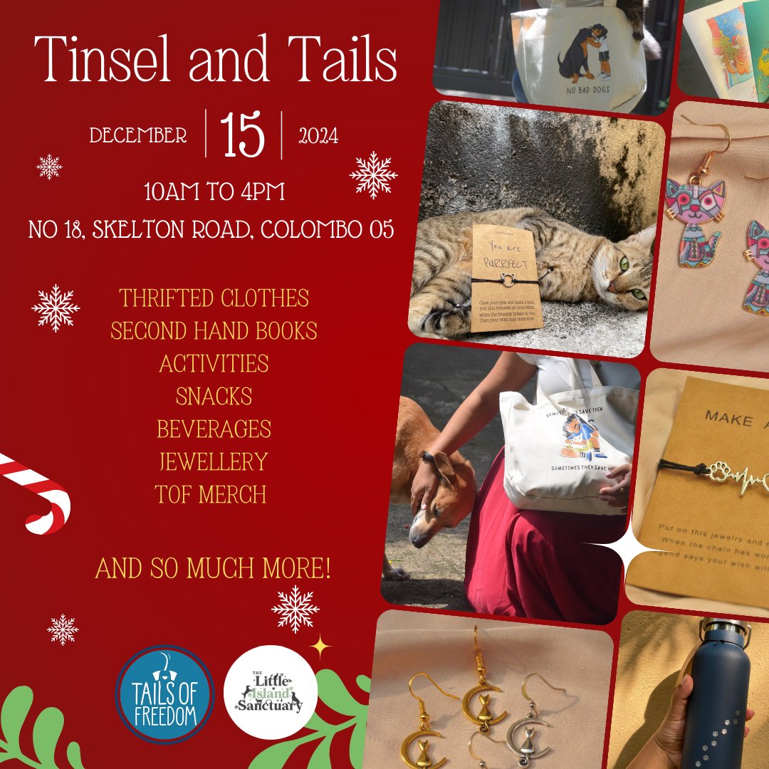 Find budget-friendly thrifted clothes, jewellery, books, yummy snacks and more this Sunday at Tinsel and Tails! 

Every purchase supports our rescue efforts! 

#ThriftWithPurpose #TailsOfFreedom #SupportRescues #ColomboEvents #SriLanka