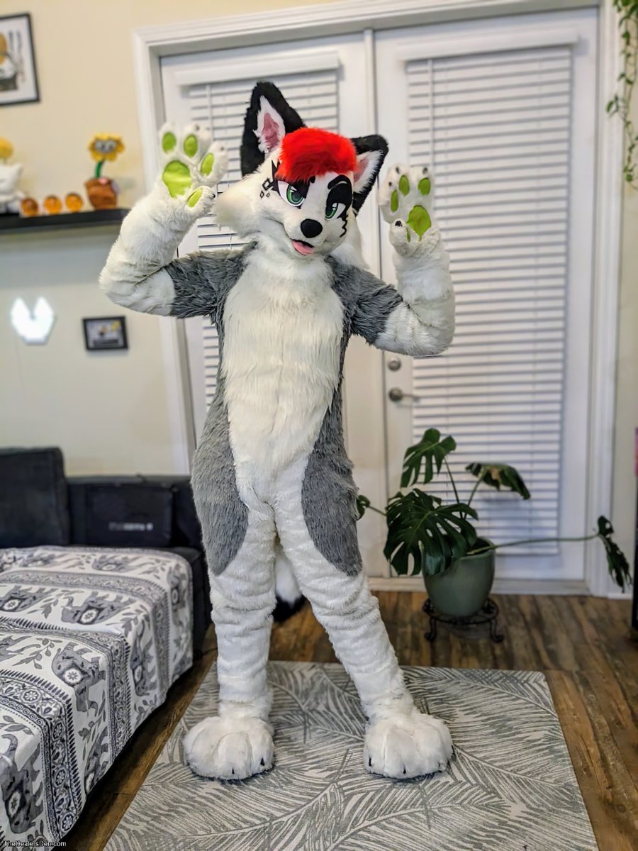 Hi all! I've made the tough decision to sell my character + fursuit Stasya.

While I love her I unfortunately have medical debts I need to prioritize paying from ER visits due to a serious health issue that occured. (1/3)

thedealersden.com/listing/grey-a…