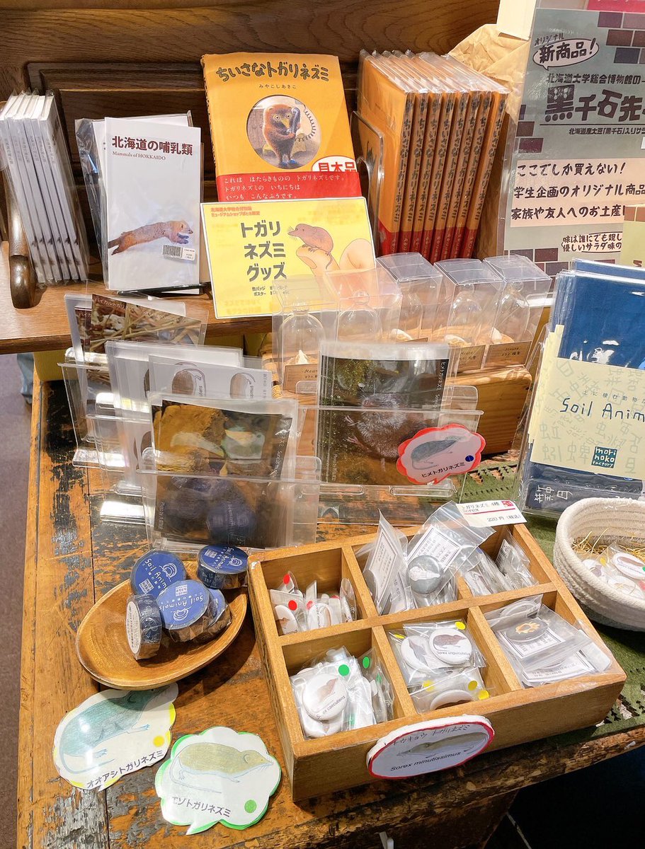 ms_potolo's tweet photo. トガリネズミ展の開催に合わせ、当店ではトガリネズミコーナーを設置しております🐀✨

マスキングテープやポストカード、缶バッジなど多数取り揃えておりますので、トガリネズミ展と共にぜひお立ち寄りください！

#北大博物館  #トガリネズミ　#ミュージアムグッズ https://t.co/vAfVJBHR1N