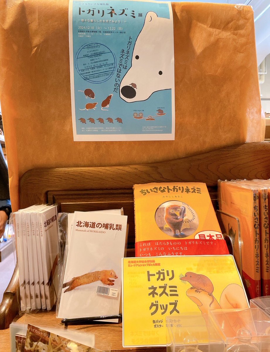 ms_potolo's tweet photo. トガリネズミ展の開催に合わせ、当店ではトガリネズミコーナーを設置しております🐀✨

マスキングテープやポストカード、缶バッジなど多数取り揃えておりますので、トガリネズミ展と共にぜひお立ち寄りください！

#北大博物館  #トガリネズミ　#ミュージアムグッズ https://t.co/vAfVJBHR1N