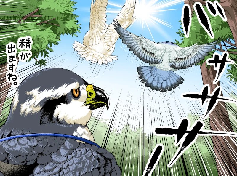 運動するぞ【2/2】 