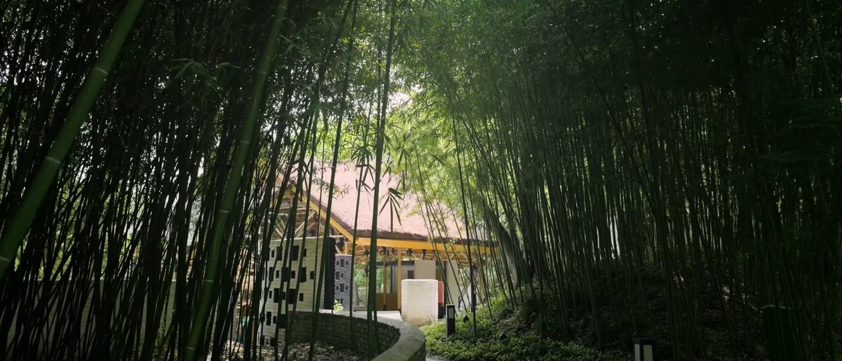 VisitSongjiang's tweet image. Helou Pavilion 何陋轩, a famous #bamboo-roofed tea #pavilion in Fangta Garden in Songjiang, was designed by the renowned Chinese architect Mr. Feng Jizhong. The bamboo pavilion section may be the only existing historic #bamboostructure in #China. 
Through in-depth research into…
