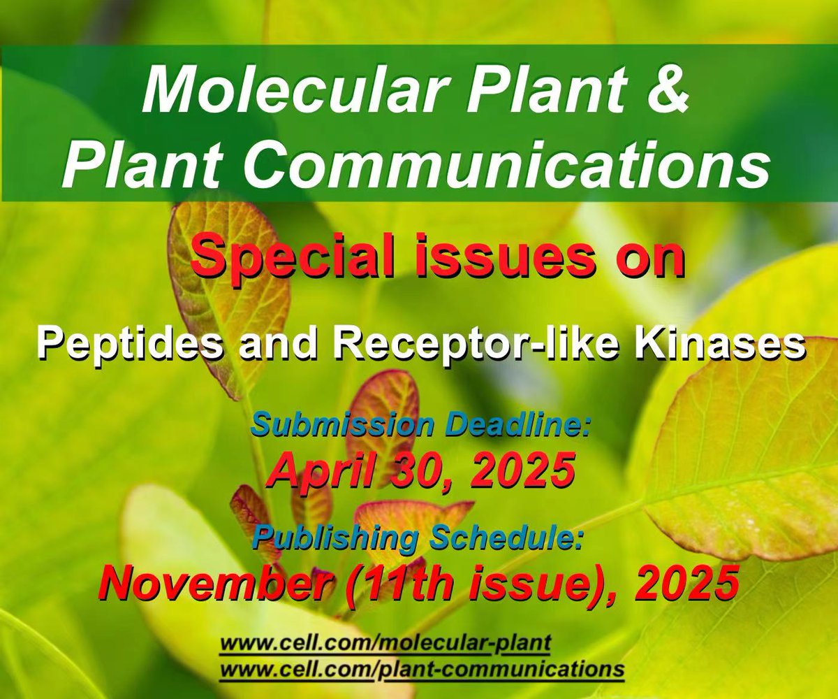 Molecular Plant & Plant Communications (@mplantpcom) on Twitter photo Call for Papers | Molecular Plant and Plant Communications are each organizing a Special Issue on Peptides and Receptor-like Kinases | Publishing Schedule: Nov 2025 | Submission Deadline: Apr 30, 2025.🌱If any questions, pls do not hesitate to email to staff-mplant@sibs.ac.cn Call for Papers | Molecular Plant and Plant Communications are each organizing a Special Issue on Peptides and Receptor-like Kinases | Publishing Schedule: Nov 2025 | Submission Deadline: Apr 30, 2025.🌱If any questions, pls do not hesitate to email to staff-mplant@sibs.ac.cn