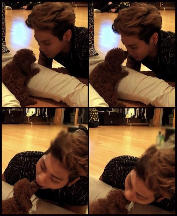 dailyjjonghyun's tweet photo. #JONGHYUN #종현 #SHINee https://t.co/mcO94I2D1a