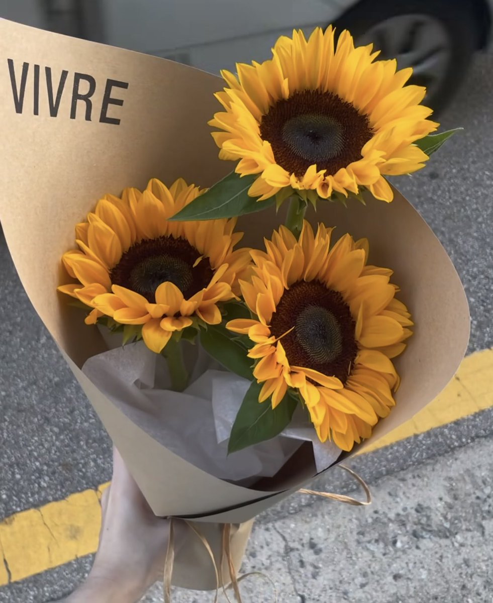 sunflowerchives's tweet photo. Have a nice day!🌻 https://t.co/b1ksLzrpyp