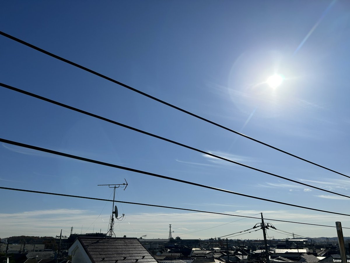 chi1_1y's tweet photo. 冬が沁み入る季節になったけど、日中の屋上は意外とぽかぽか☺️
（🌞背中に浴びて読書寝そう）
ネコが屋上好きだから一緒に出て本を読んでたけど………ネコどこ行った？？ https://t.co/X3ovdCjMJJ