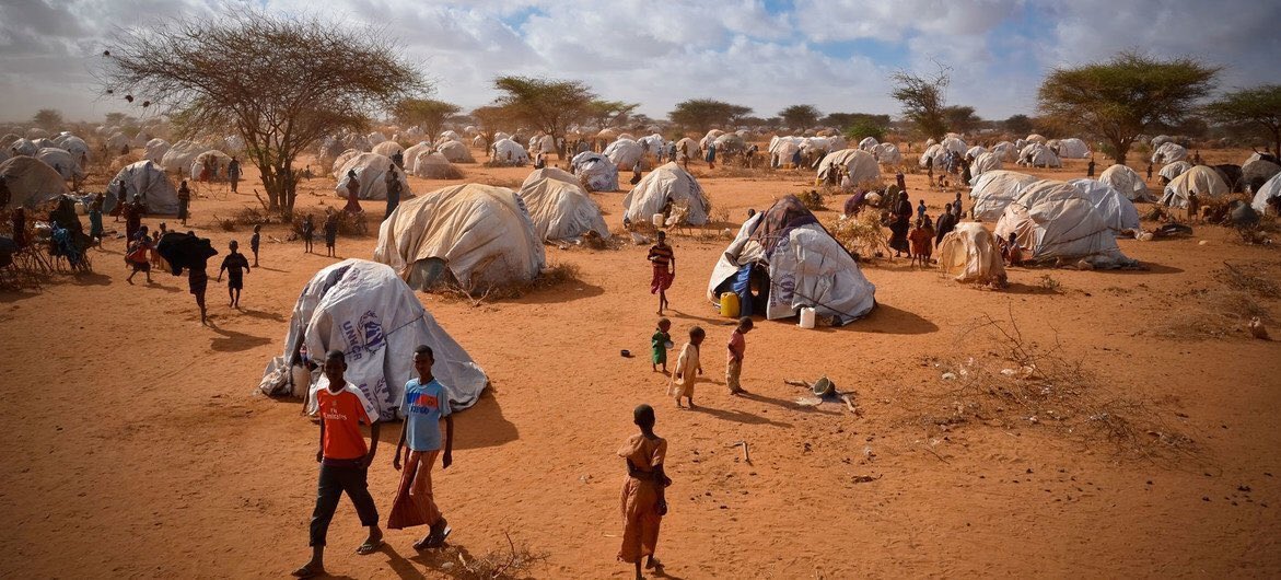 westtoeastt's tweet image. Ilhan is having flashbacks of dadaab seeing Assad flee Syria