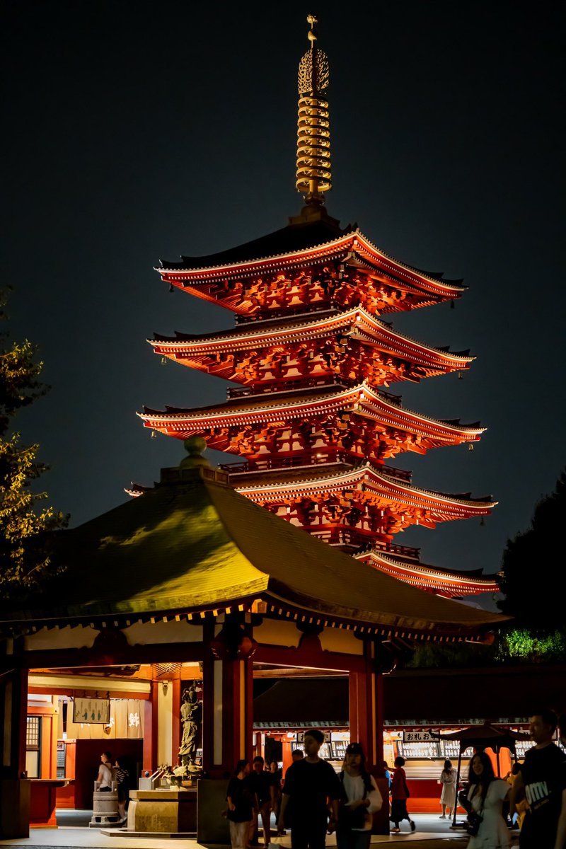 Meandering Max tweet media