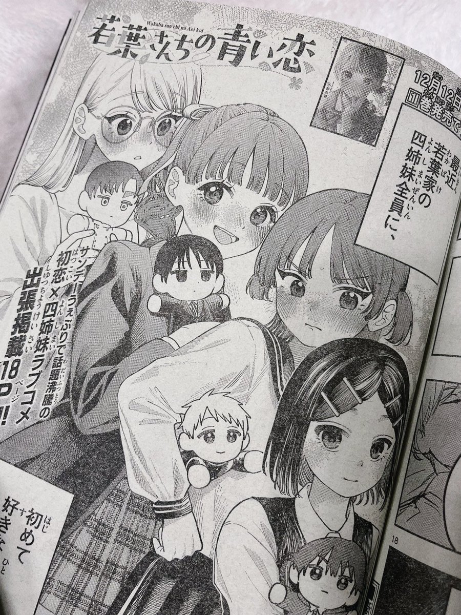 サンデー文化祭 缶バッジ 若葉さんちの青い恋　小形朱嶺 小形朱嶺@若葉さんちの青い恋 on X