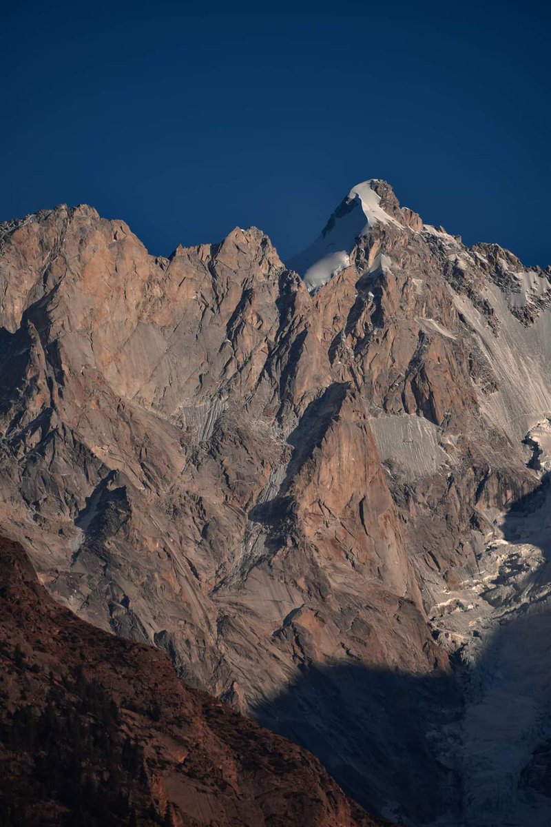 Arvind Negi tweet media