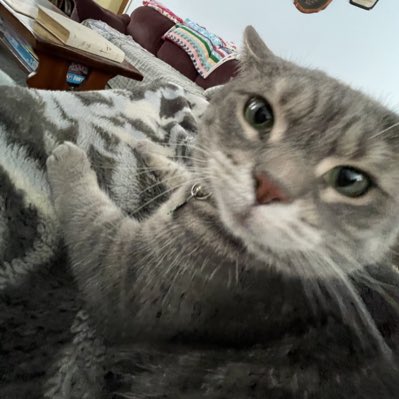 my baby. my soul-kitty. I love you. Thank you for being here for me always