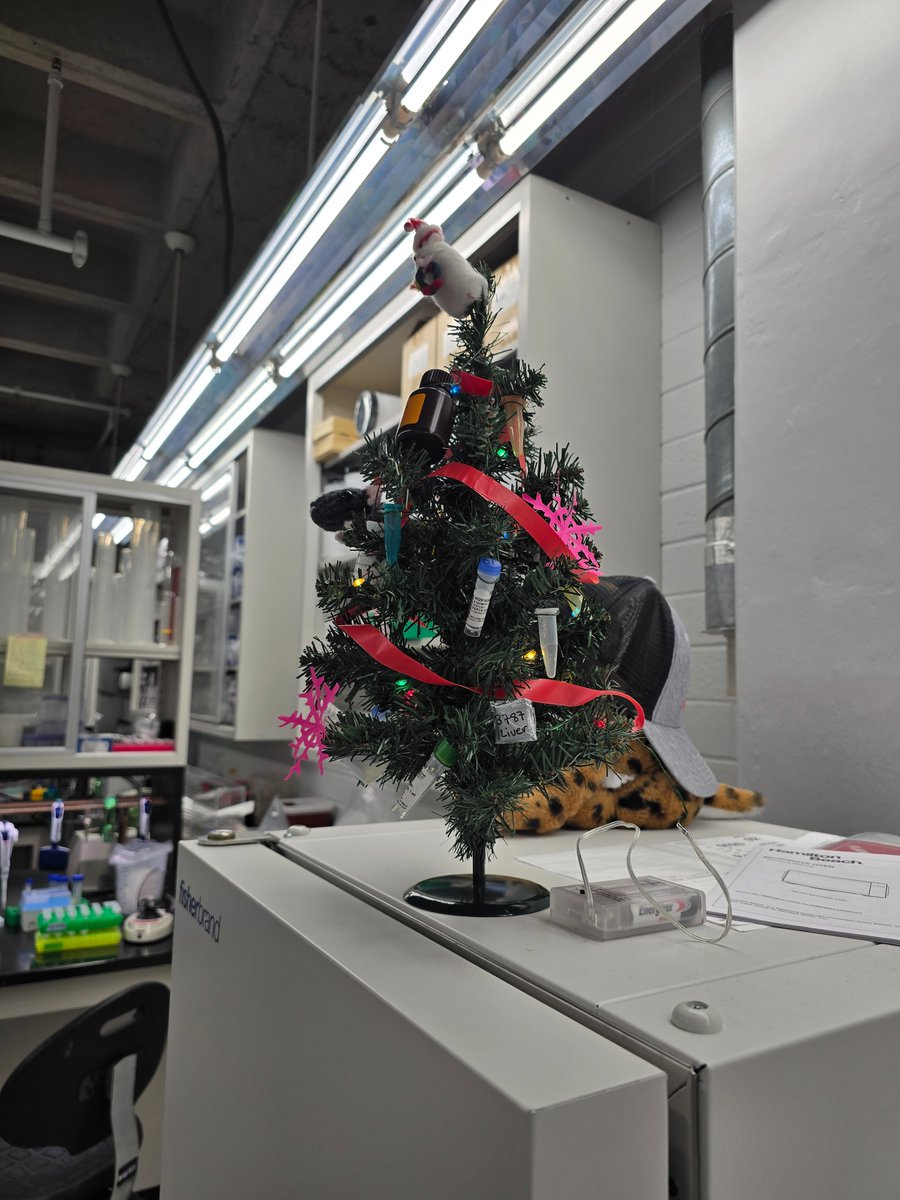 Stern Lab tweet media