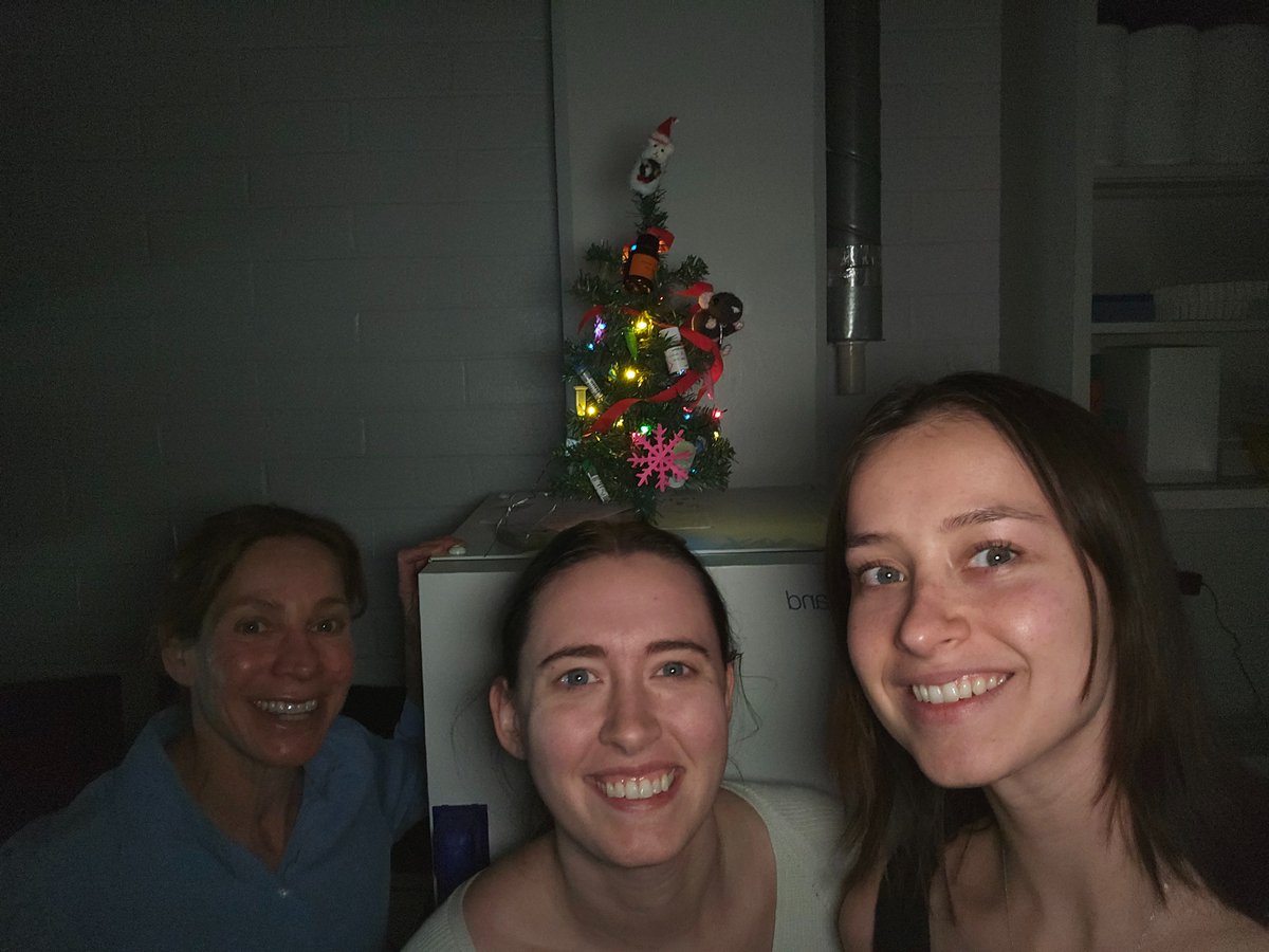 Stern Lab tweet media