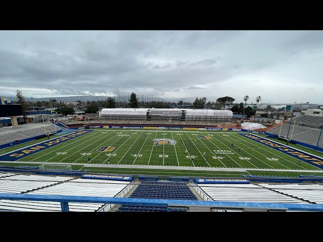 Anisi Purcell tweet media