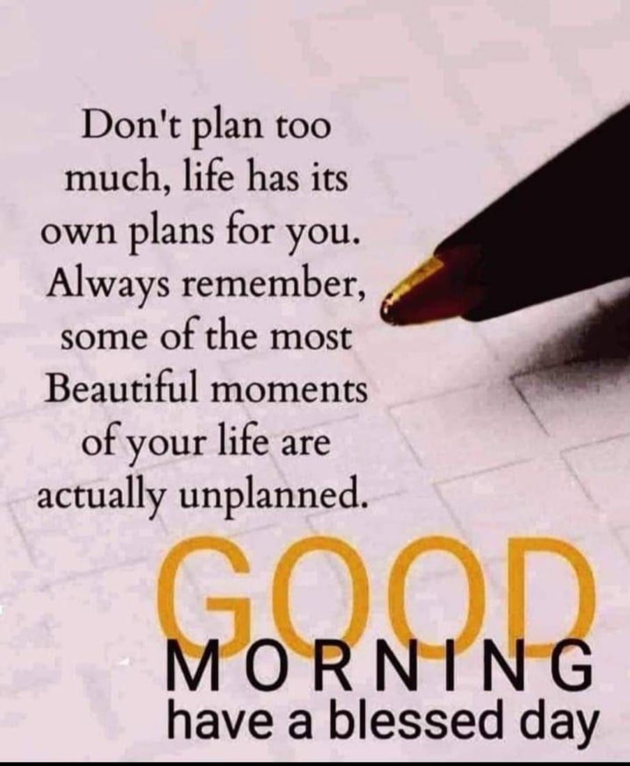 tarannum_nahida's tweet photo. #LifeisBeautiful
#blessings 
#truthisbeauty
#integrityisbeauty
#contentment 
#complacent 
#sayNotoWorries
#avoidstress https://t.co/D6ZzD08Sg7