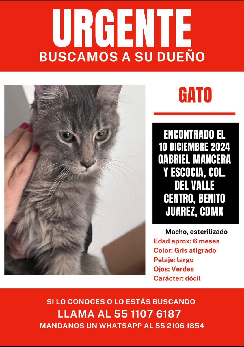 jbenlliure's tweet photo. Busca a sus dueños @En_laDelValle @NarvarteVecinos https://t.co/Z8tvTg6drg