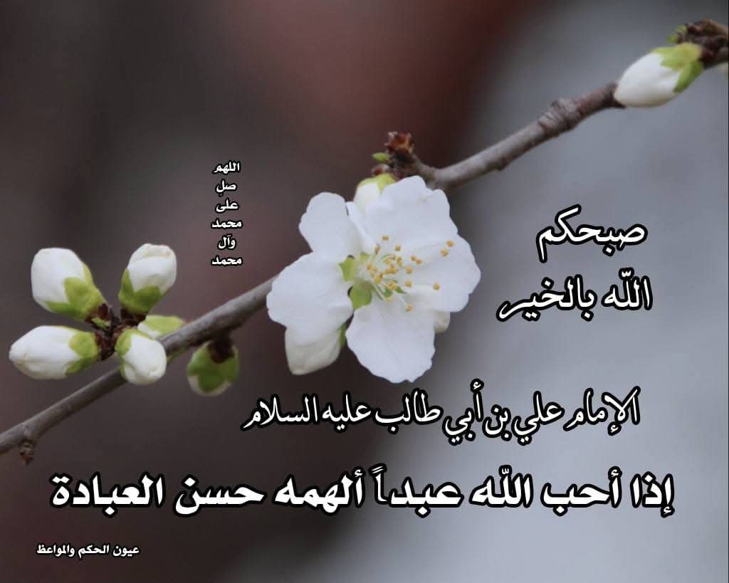 alaa Altamimi..علاء التميمي (@alaaalt73992426) on Twitter photo 
