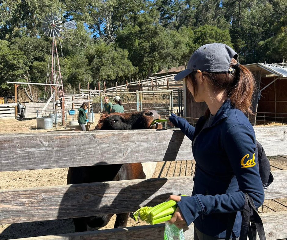 Berkeley Global tweet media