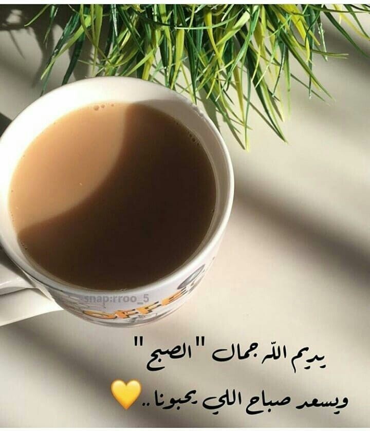 Buthoon9's tweet photo. #صباح_الخير_والحب_والسلام https://t.co/oxMrqQKOYO