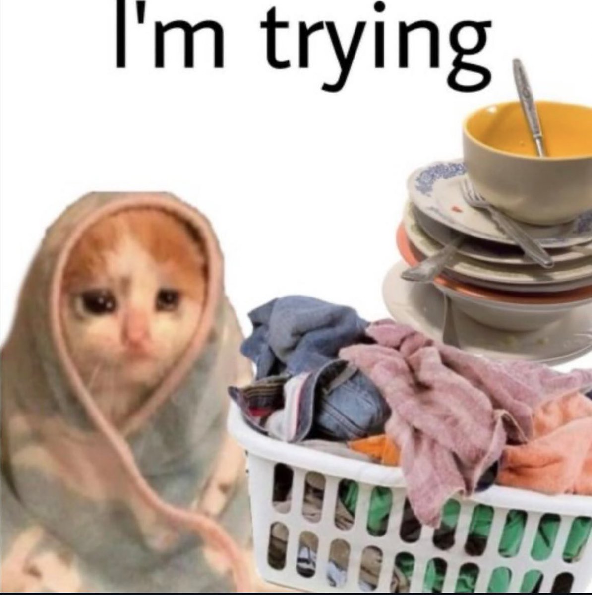 ︎ ︎ ︎ ︎ ︎ ︎ ︎ ︎ ︎ ︎ ︎ ︎ ︎ ︎ ︎ ︎ ︎ ︎ ︎ ︎ ︎ ︎ ︎ ︎ ︎ ︎ ︎ ︎ ︎ ︎ ︎ ︎ ︎ ︎ ︎ ︎ ︎