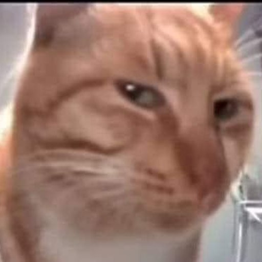 Thatoneguy629's tweet photo. Day 3 of trying to reach 50 likes in this post https://t.co/ZDPUfodtf5