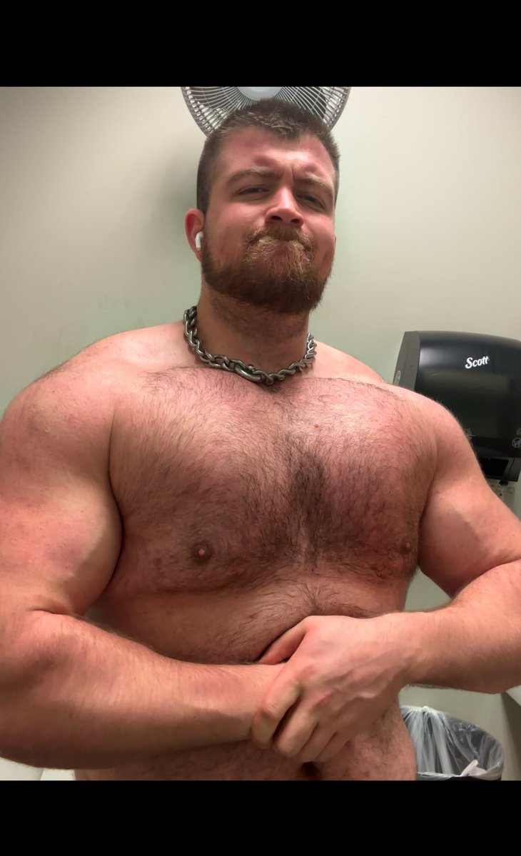 _BillDemon_'s tweet photo. Front then butt https://t.co/m3ureiIpI8
