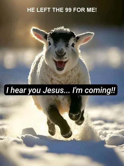 Jesus will leave the 99 and go after the backslidden but you still have to respond to him just like you did the first time and turn to him with all your heart, He will Not force you to come home so do not wait, come home today.