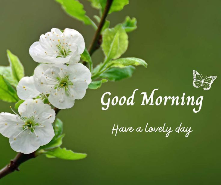 हर सुबह एक आईना दिखाती है,

अपने साथ नई तकदीर लाती है,

#GoodMorning