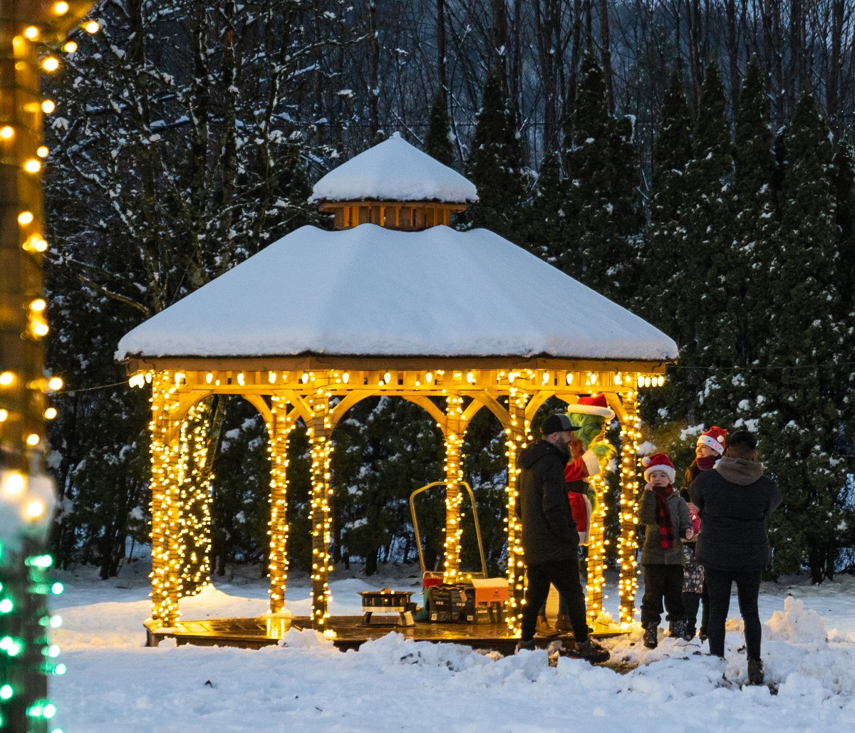 harrisontourism's tweet photo. It's almost time for Winter Night Lights in Agassiz’s Pioneer Park! Enjoy Winter Carnival Games (with prizes), food trucks, rides on the mini train, visits with Santa and the Grinch, and more!

Learn more: https://t.co/hiAp4vpXW5

#HarrisonRiverValley #TheFraserValley https://t.co/6GR55B4QqK