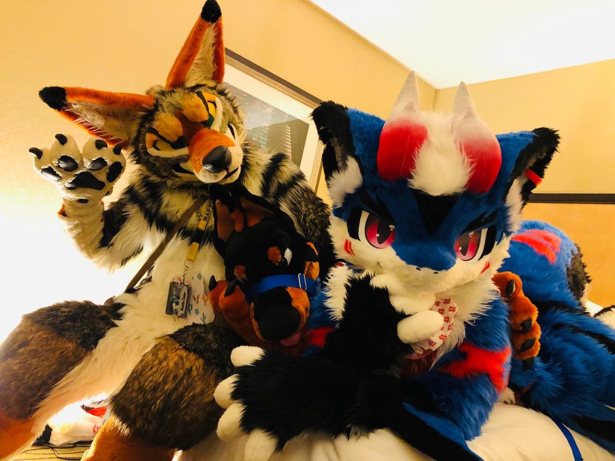 Casto (@castoshark) on Twitter photo Home from #MFF2024 
Thank you for the fun times~ π¦ππ Home from #MFF2024 
Thank you for the fun times~ π¦ππ
