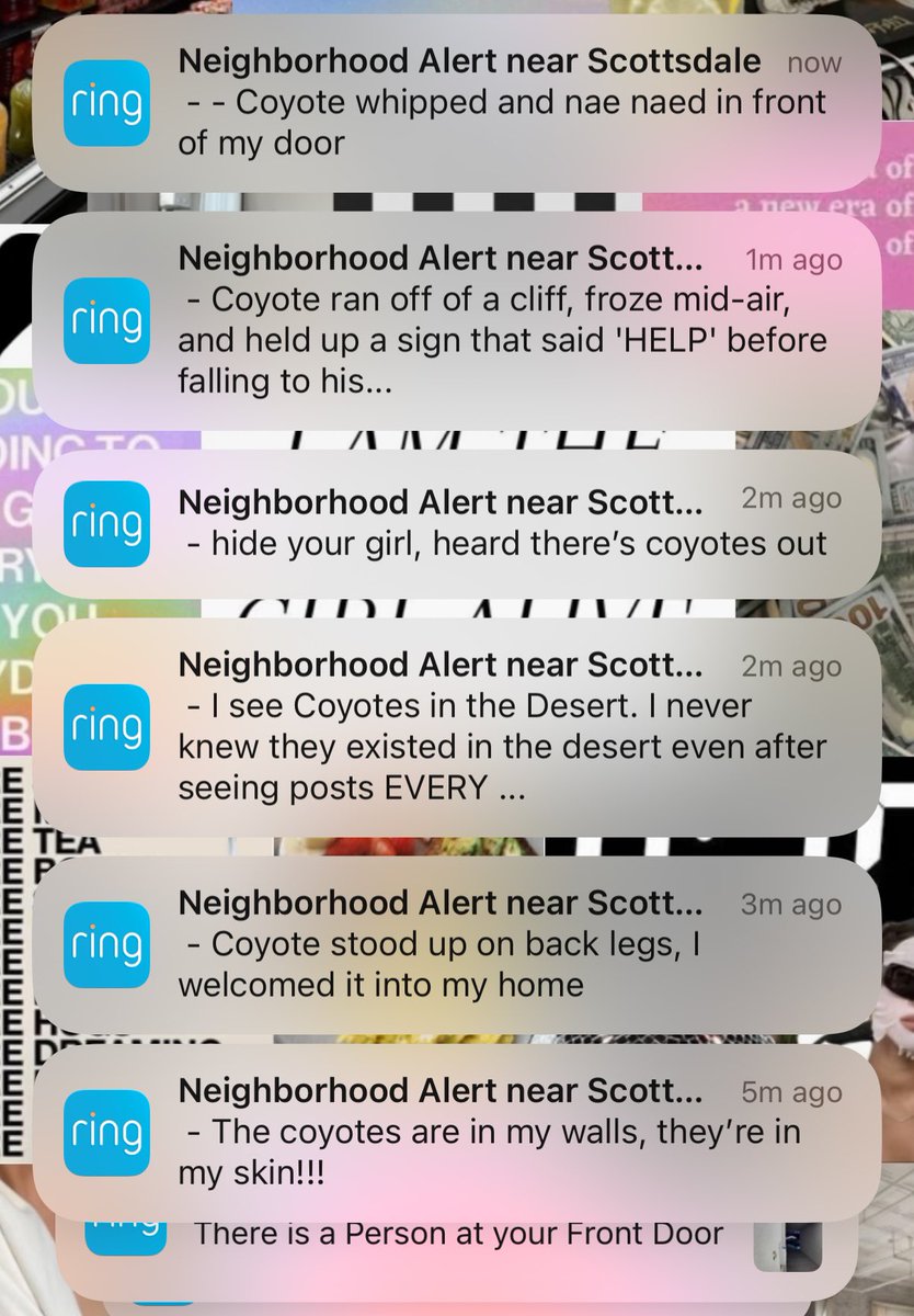 tlleonhardt's tweet photo. what the hell is happening on the ring app https://t.co/KZBCFsPCV6