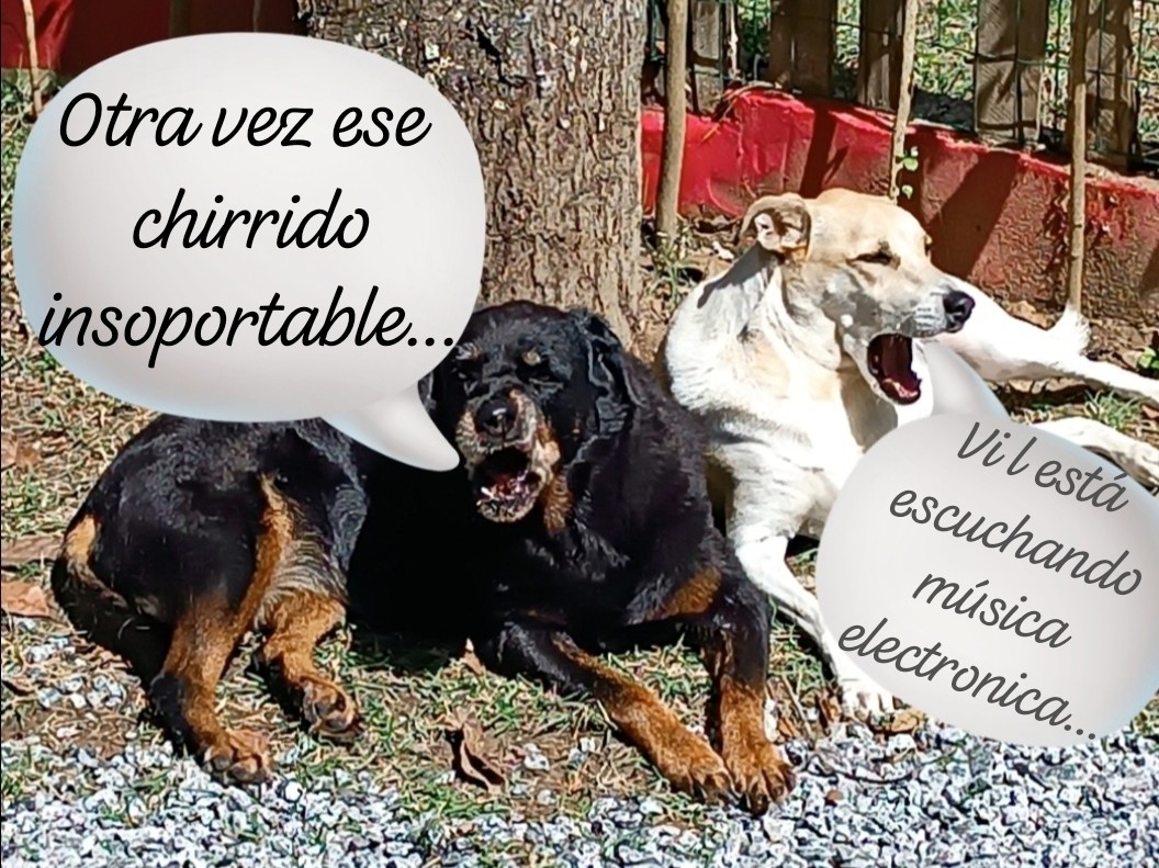 🐾G🍳Y🐾 🌠🌠🌠 tweet media