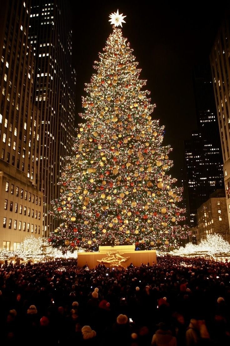 lostyouinmay's tweet photo. “only 16 days until christmas 🎅🏻🧣🎄” https://t.co/VzuKpwkIKn