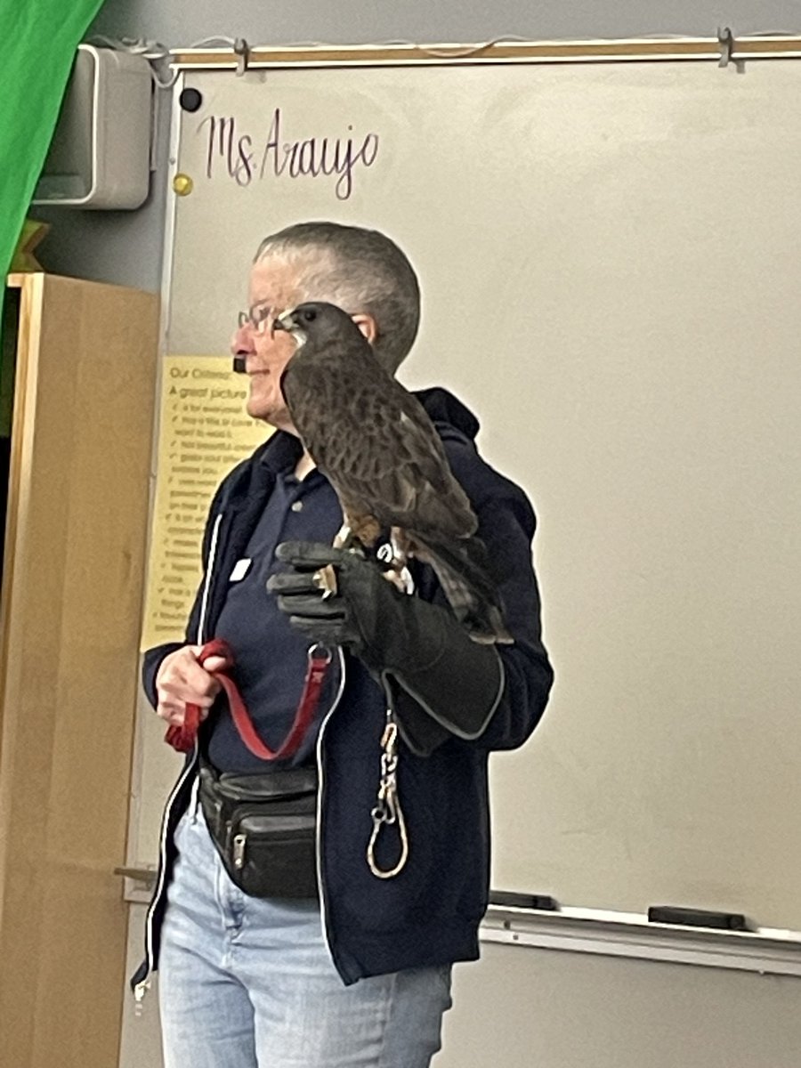 Jennifer Araujo (@jenparaujo) on Twitter photo Thank you <a href="/OWLRehab/">OWL Orphaned Wildlife Rehabilitation Society</a> for visiting and teaching us so much about owls and raptors. We loved meeting Luna and Bob! <a href="/southslopeSD41/">South Slope School</a> <a href="/burnabyschools/">Burnaby Schools</a> @bctla Thank you <a href="/OWLRehab/">OWL Orphaned Wildlife Rehabilitation Society</a> for visiting and teaching us so much about owls and raptors. We loved meeting Luna and Bob! <a href="/southslopeSD41/">South Slope School</a> <a href="/burnabyschools/">Burnaby Schools</a> @bctla