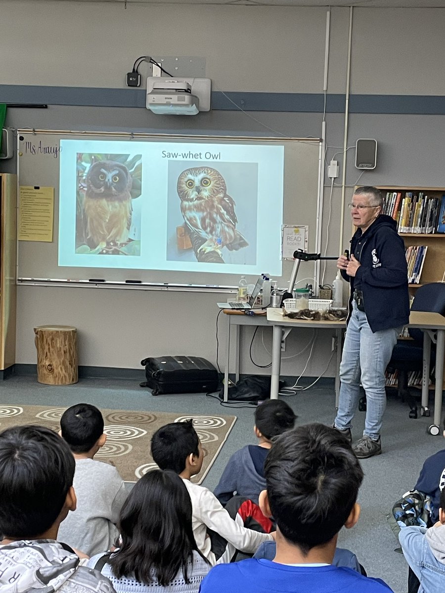 jenparaujo's tweet image. Thank you @OWLRehab for visiting and teaching us so much about owls and raptors. We loved meeting Luna and Bob! @southslopeSD41 @burnabyschools @bctla