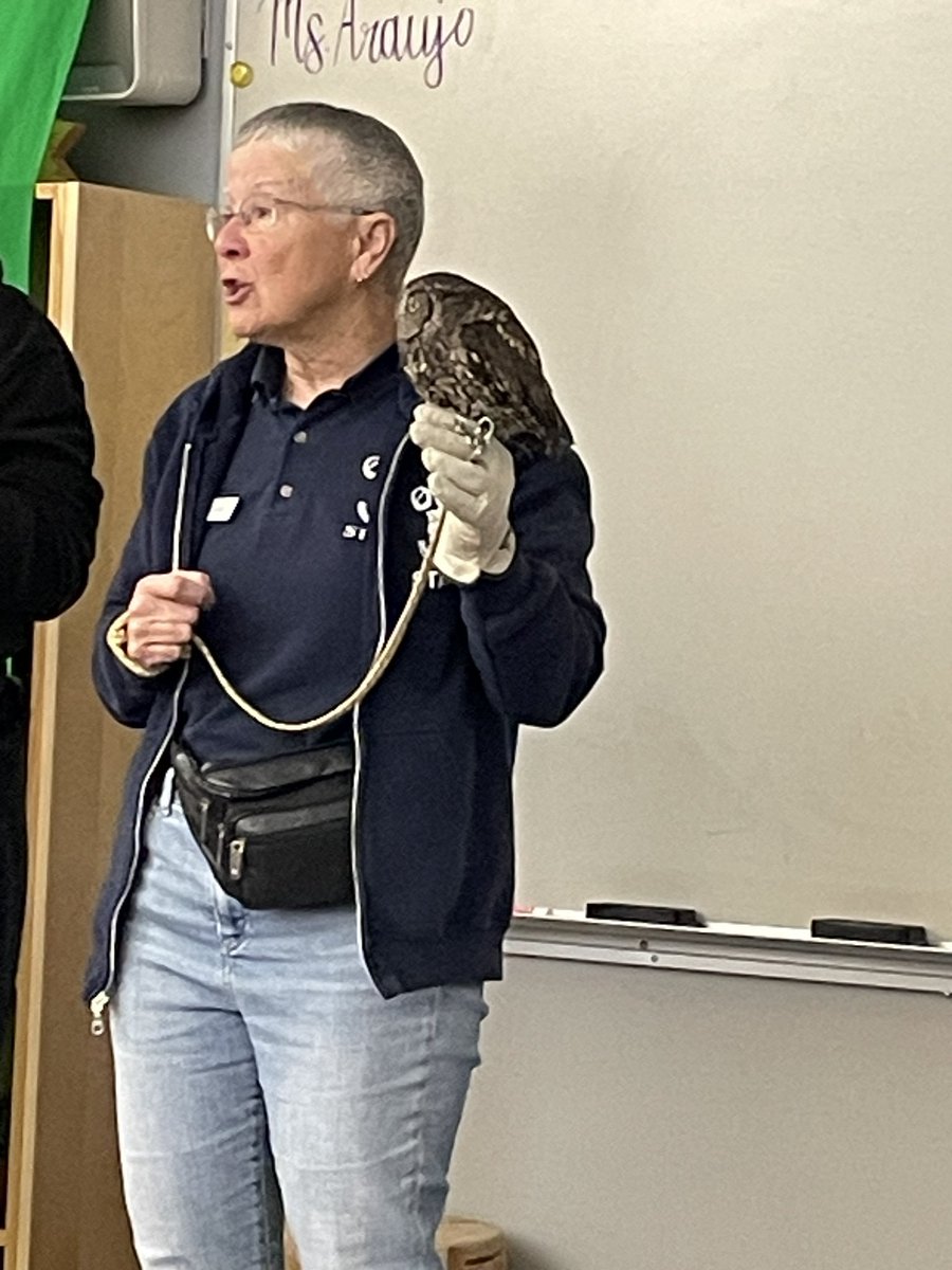 jenparaujo's tweet image. Thank you @OWLRehab for visiting and teaching us so much about owls and raptors. We loved meeting Luna and Bob! @southslopeSD41 @burnabyschools @bctla